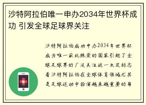 沙特阿拉伯唯一申办2034年世界杯成功 引发全球足球界关注